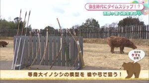 吉野 弥生