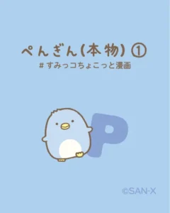 ぺんぎん(本物)