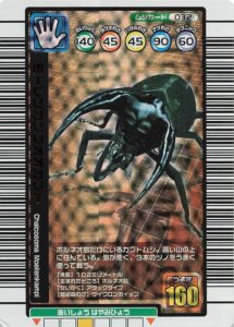 モーレンカンプオオカブト