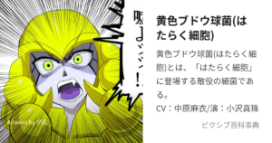 黄色ブドウ球菌