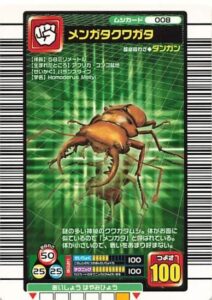 メンガタクワガタ