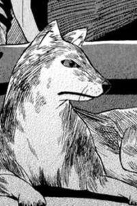ルド=シュバリエ