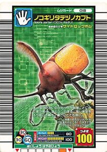 ノコギリタテヅノカブト