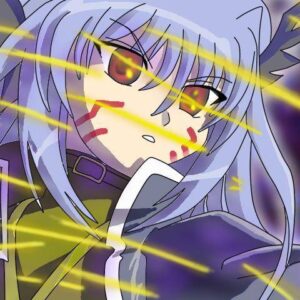 闇の書の意志 / リインフォース