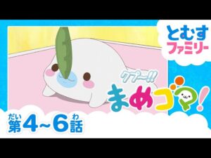キャンディーちゃん