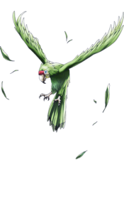 コトサカ