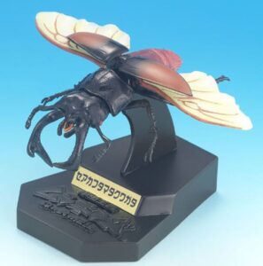 セアカフタマタクワガタ
