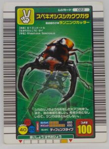 スペキオシスシカクワガタ