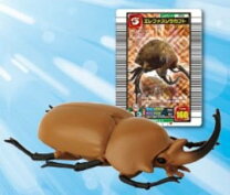 エレファスゾウカブト