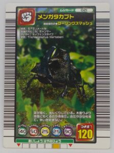 メンガタカブト