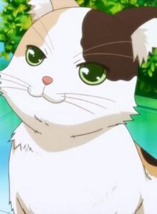 三毛猫