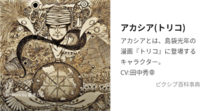 アカシア