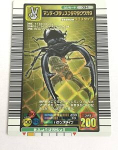マンディブラリスフタマタクワガタ