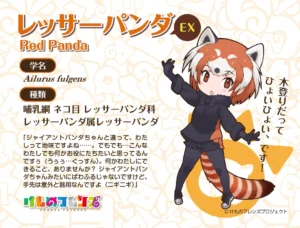 レッサーパンダ