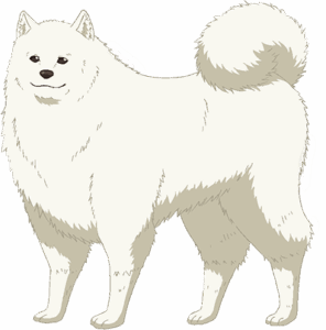 陸